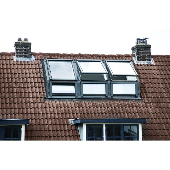 Dormer EDT-W + Centre pivot window FTP-V-U3 | FAKRO