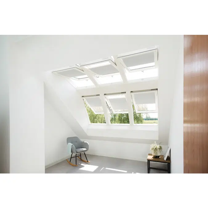 Dormer EDT-W + Centre pivot window FTP-V-U3 | FAKRO