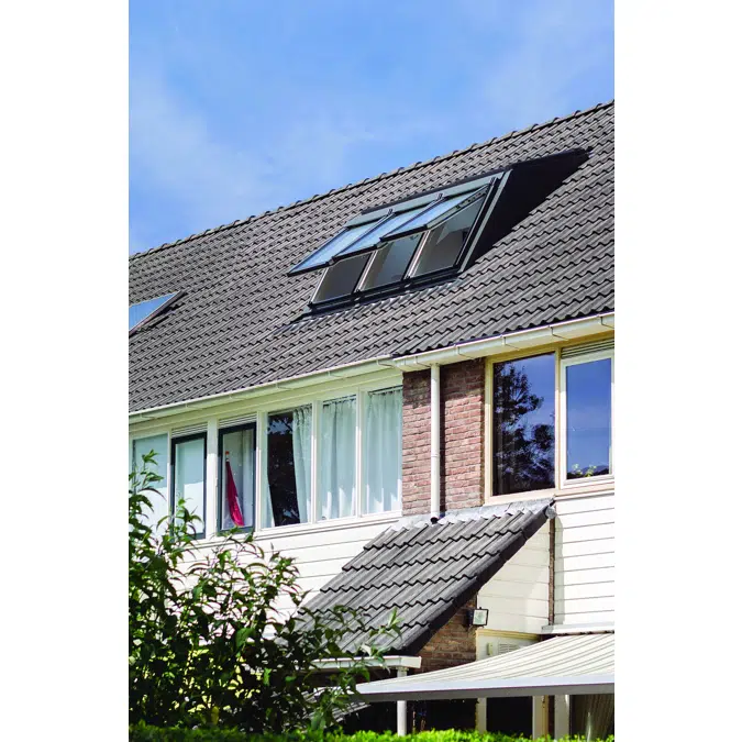 Dormer EDT-W + Centre pivot window FTP-V-U3 | FAKRO