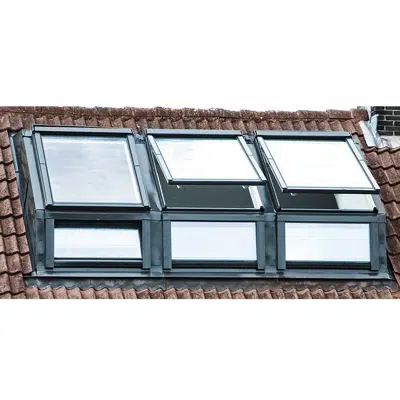 Dormer EDT-W + Centre pivot window FTP-V-U3 | FAKRO