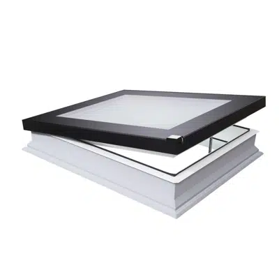 Image for USA Flat roof window DEF DU6 | FAKRO