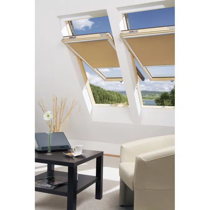 Window with raised axis of rotation FYP-V P5 proSky | FAKRO