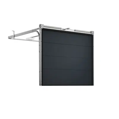 Image pour Garage door ELITE F + Marantec 300 series | FAKRO