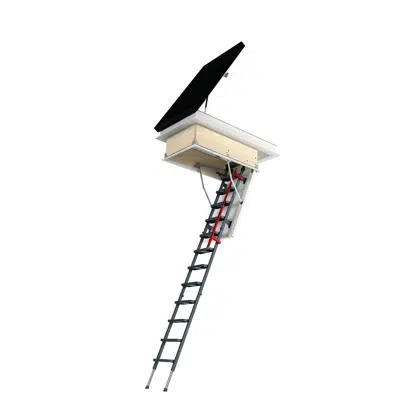 Flat roof access door DRL + Loft ladders LML | FAKRO