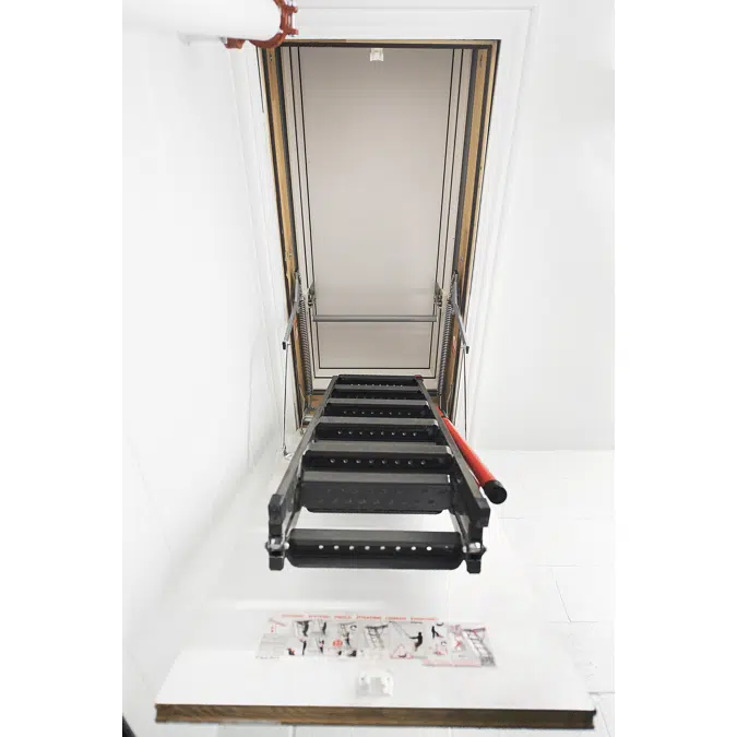 Flat roof access door DRL + Loft ladders LML | FAKRO