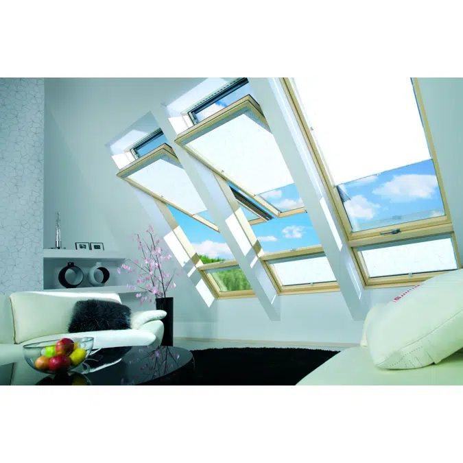 Window with raised axis of rotation FDY-V P2 Duet proSky | FAKRO