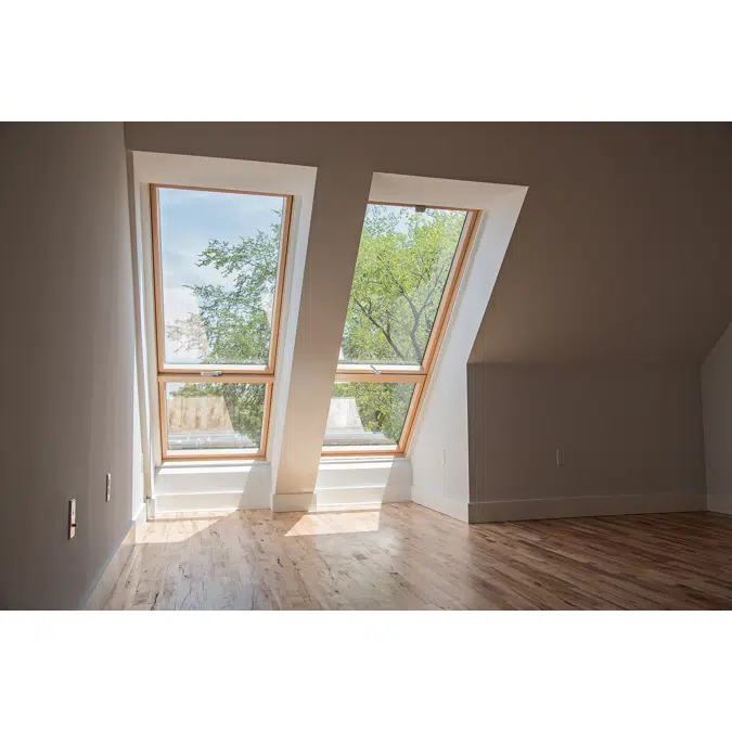 BIM objects - Free download! Window with raised axis of rotation FDY-V ...