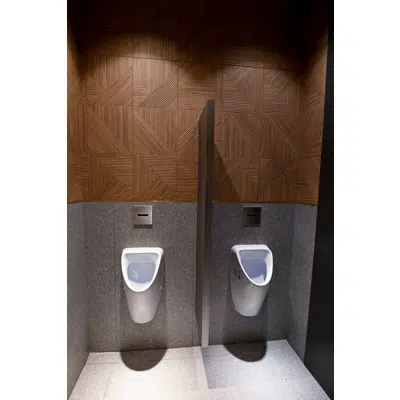 imagen para Bathroom Urinal Partitions