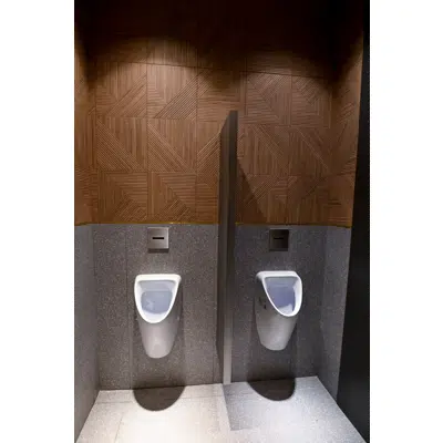 Image for Bathroom Urinal Partitions