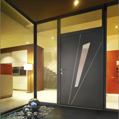 Entrance door Collection Perspective图像