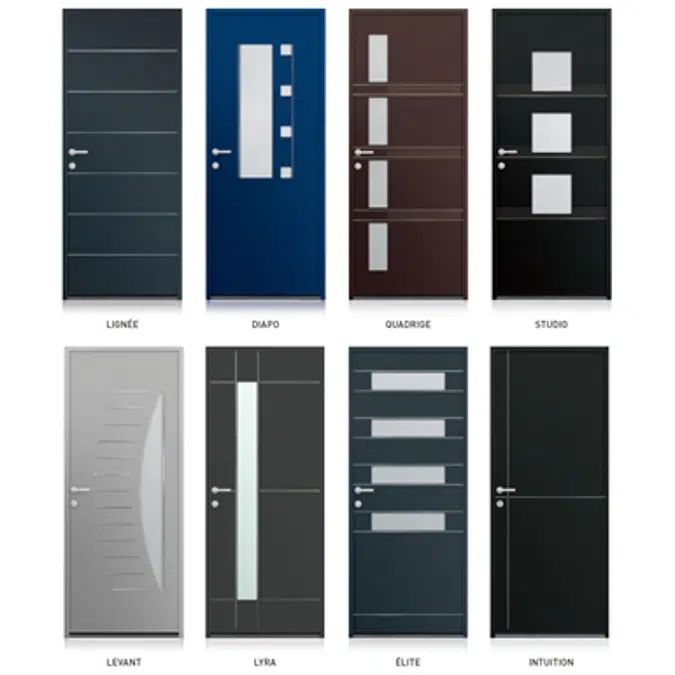 Entrance door Collection Perspective