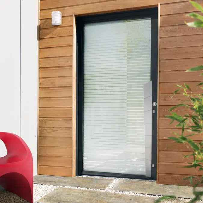 Entrance door Collection Luminescence