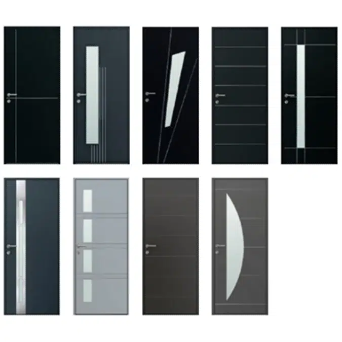 Entrance door Collection Surface