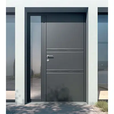 รูปภาพสำหรับ Entrance door Collection Surface