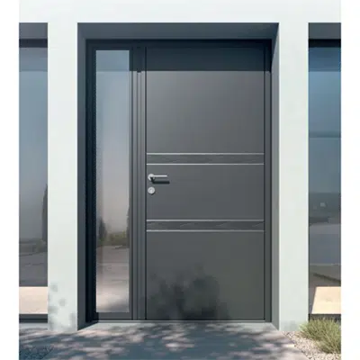 Image for Entrance door Collection Surface