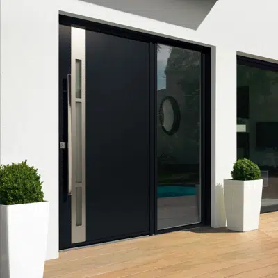 Immagine per Entrance door Collection Contemporaine