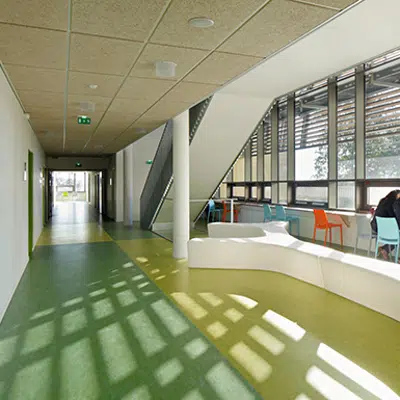 Image for Marmoleum® Decibel