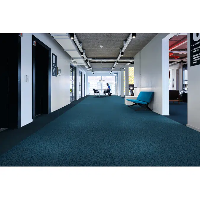 Needlefelt Showtime Colour