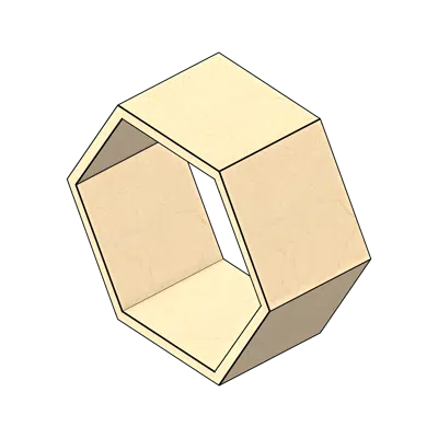 Hexagonal Wall Mounted Shelving图像