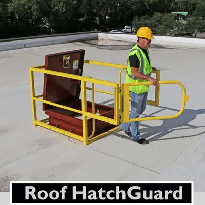Image for Roof Hatch Guarding