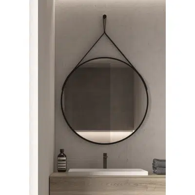 RING mirror图像