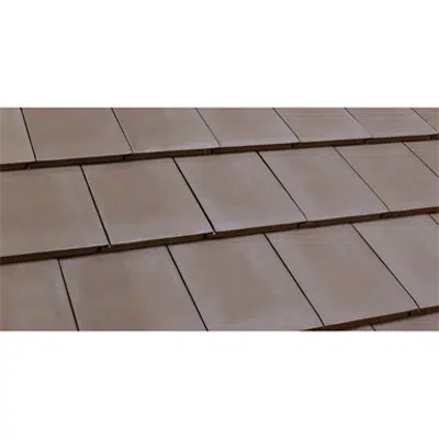 Image pour Flat Roof Tile Graphite