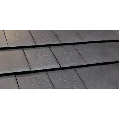 imagem para Flat Roof Tile Slate TX