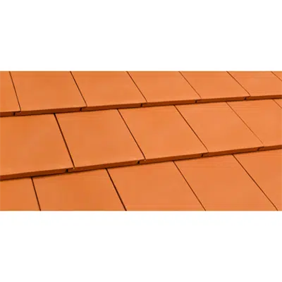imagem para Flat Roof Tile Red