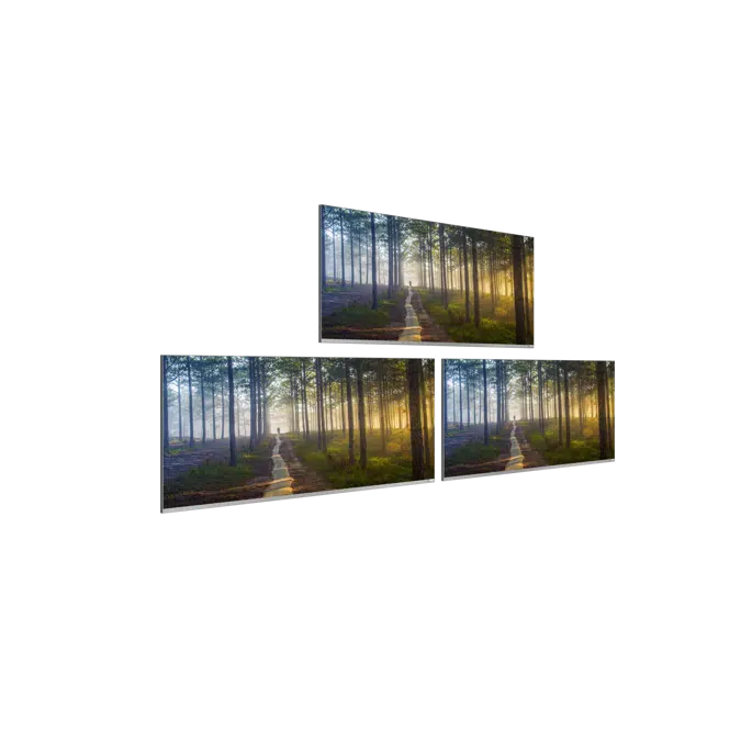Absenicon X Display