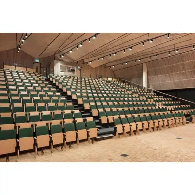 afbeelding voor Telescopic arean section Manually folding backrest