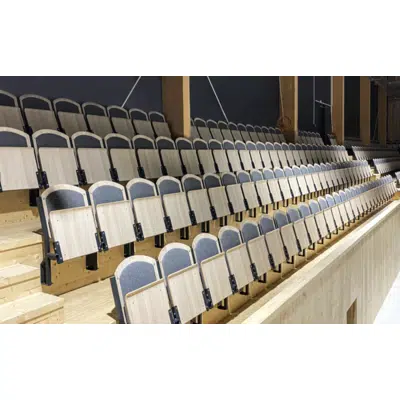 afbeelding voor Arena seat  Stadion Comfort