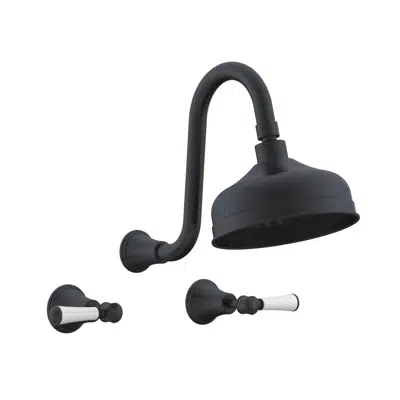 kép a termékről - Posh Canterbury Gooseneck Shower Set Lever Porcelain Handles Matte Black (3 Star)