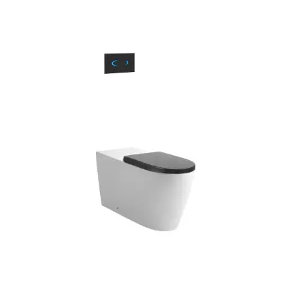 billede til Wolfen 800 Back To Wall Rimless Pan with Inwall Cistern, Sensor Button, Double Flap Seat Grey (4 Star)