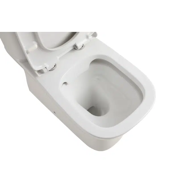 Posh Domaine Rimless Close Coupled Back to Wall Toilet Suite Back Inlet with Soft Close Quick Release Seat (4 Star)