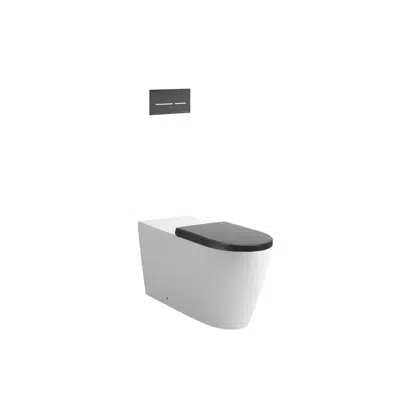 Image for Wolfen 800 Back to Wall Rimless Inwall Toilet Suite with Double Flap Seat Grey, Raised Height Button & Plate Grey, Hideaway+ Inwall Cistern (4 Star)