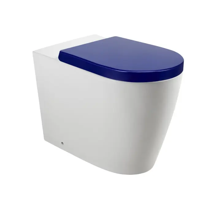 Wolfen Ambulant Back To Wall Inwall Rimless Toilet Suite Double Flap Seat Blue (4 Star)