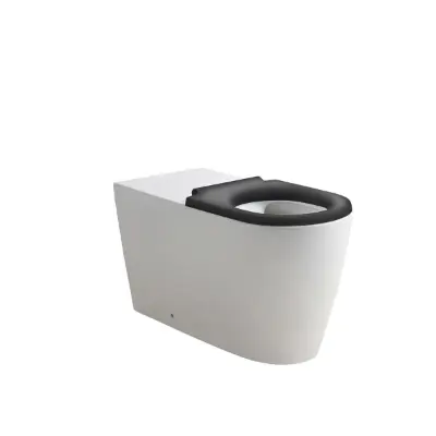 billede til Wolfen 800 Back To Wall Rimless Pan with Single Flap Seat Grey with Backrest (4 Star)