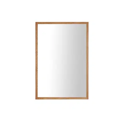 Image for ISSY Z8 500mm x 50mm x 930mm Rectangle Mirror