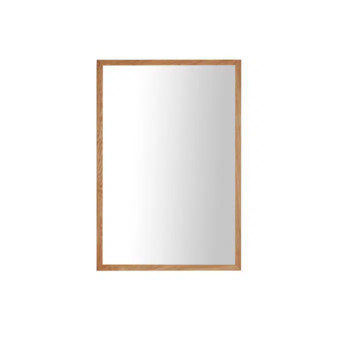 ISSY Z8 500mm x 50mm x 930mm Rectangle Mirror