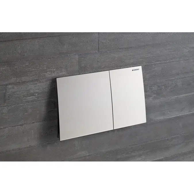 Geberit Sigma70 Dual Flush Button Brushed Stainless Steel Easy Clean Coating