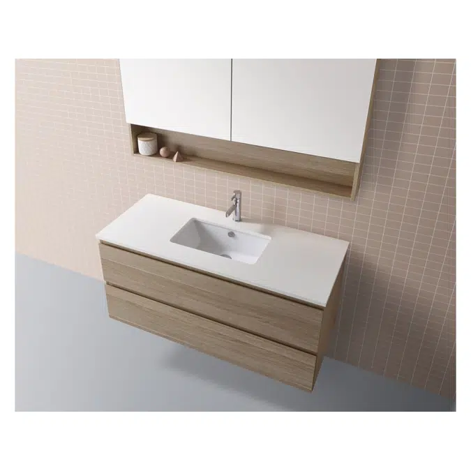 Posh Domaine 750mm x 1000mm Open Shelf Shaving Cabinet 2 Door