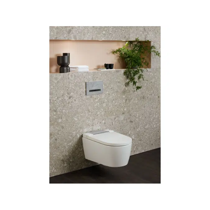 Geberit Sigma50 Dual Flush Button Concrete Look/Black Chrome