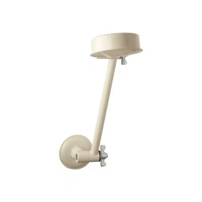 Standard All Directional Shower Arm & Rose Ivory/Chrome (3 Star)图像