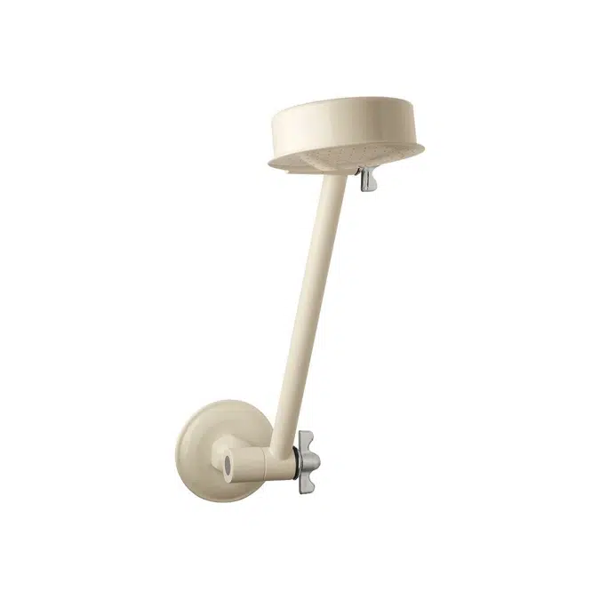 Standard All Directional Shower Arm & Rose Ivory/Chrome (3 Star)