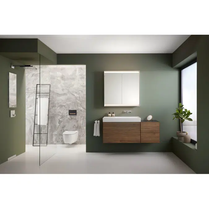 Geberit Sigma50 Black/Red Gold Button