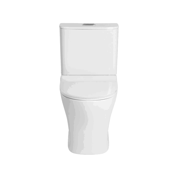 Objetos BIM - ¡Descarga gratis! American Standard Signature Hygiene Rim ...