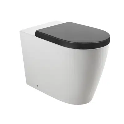 billede til Wolfen Ambulant Back To Wall Rimless Pan with Double Flap Seat Grey (4 Star)