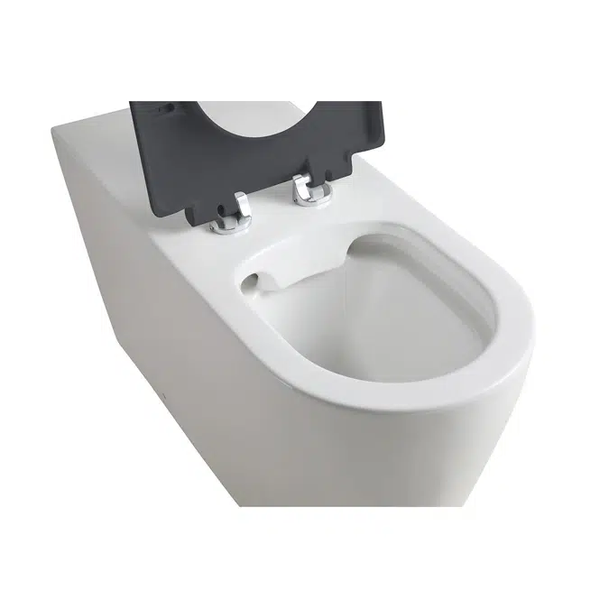 Wolfen 800 Back To Wall Rimless Pan with Single Flap Seat Grey (4 Star)