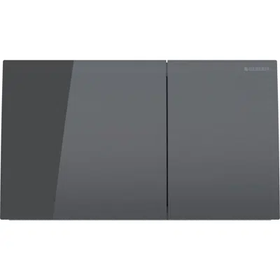 Image pour Geberit Sigma70 Dual Flush Button Lava Glass