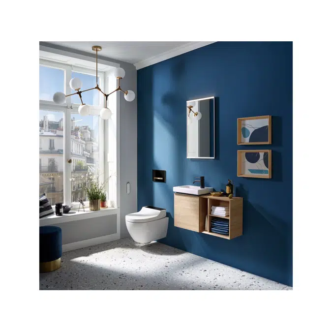 Geberit Sigma50 Black/Brass Button